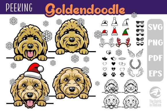 Download Goldendoodle SVG, Clipart &amp; Cutfiles - Art Collection
