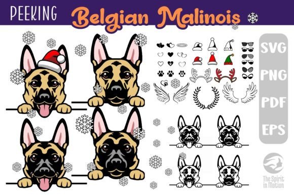 Download Belgian Malinois SVG, Clipart &amp; Cutfiles - Art Collection