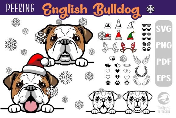 Download English Bulldog SVG, Clipart &amp; Cutfiles - Art Collection