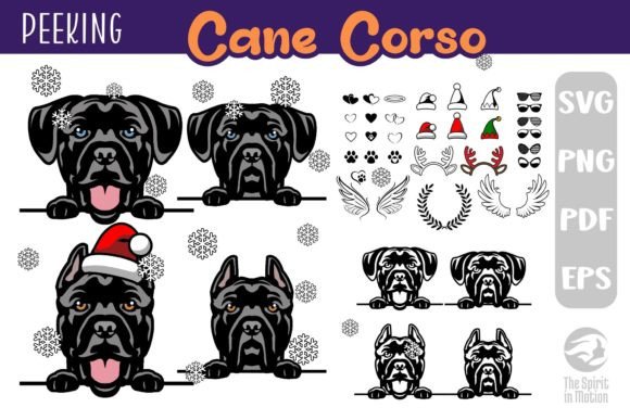 Download Cane Corso SVG, Clipart &amp; Cutfiles - Art Collection